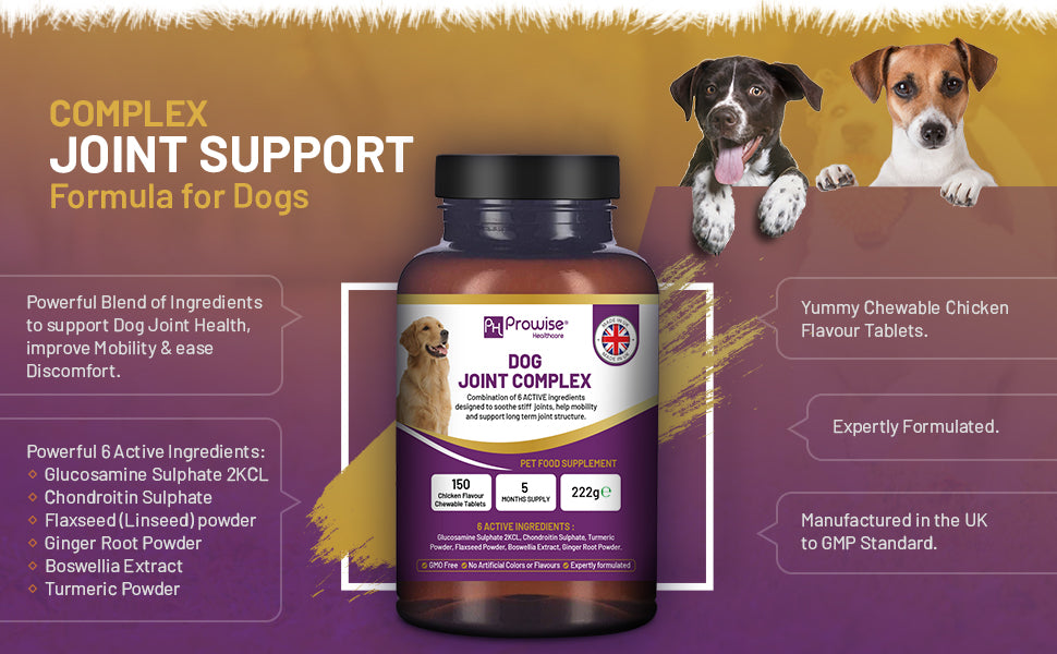 Joint Support for Dogs: 150 Chewable Tablets, 5-Month Supply | Prowise UK