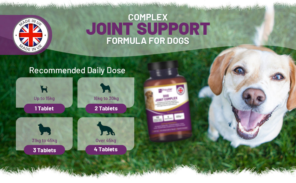 Joint Support for Dogs: 150 Chewable Tablets, 5-Month Supply | Prowise UK