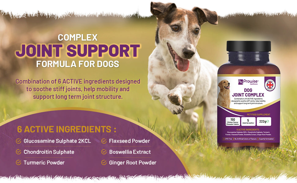 Joint Support for Dogs: 150 Chewable Tablets, 5-Month Supply | Prowise UK