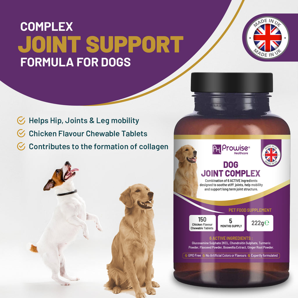 Joint Support for Dogs: 150 Chewable Tablets, 5-Month Supply | Prowise UK