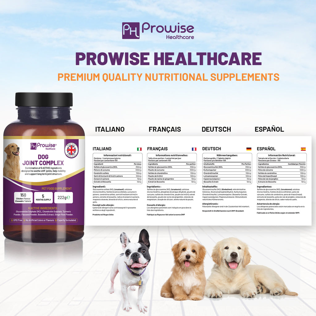 Joint Support for Dogs: 150 Chewable Tablets, 5-Month Supply | Prowise UK