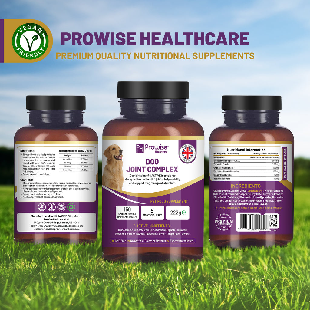 Joint Support for Dogs: 150 Chewable Tablets, 5-Month Supply | Prowise UK